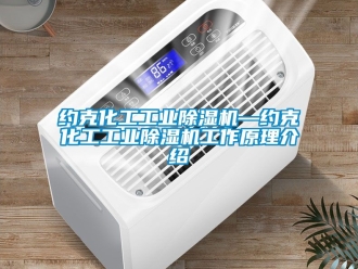 常见问题约克化工工业除湿机—约克化工工业除湿机工作原理介绍