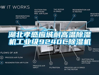 常见问题湖北孝感应城耐高温除湿机工业级9240C除湿机