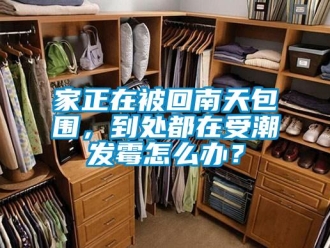 常见问题家正在被回南天包围，到处都在受潮发霉怎么办？