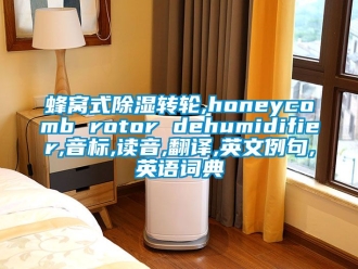 常见问题蜂窝式除湿转轮,honeycomb rotor dehumidifier,音标,读音,翻译,英文例句,英语词典