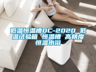 知识百科低温恒温槽DC-2020 低温试验箱 恒温槽 高精度恒温水浴