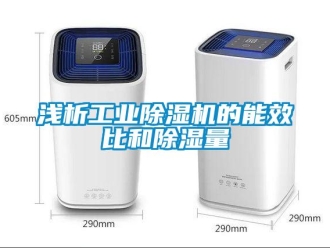 行业新闻浅析工业除湿机的能效比和除湿量