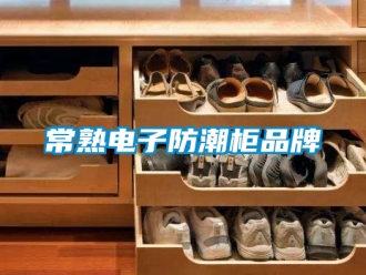 企业新闻常熟电子防潮柜品牌