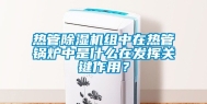 热管除湿机组中在热管锅炉中是什么在发挥关键作用？