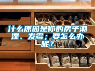 常见问题什么原因是你的房子潮湿、发霉；要怎么办呢？