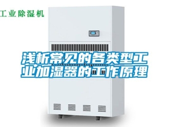 企业新闻浅析常见的各类型工业加湿器的工作原理