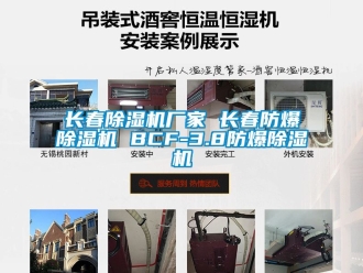 企业新闻长春除湿机厂家 长春防爆除湿机 BCF-3.8防爆除湿机