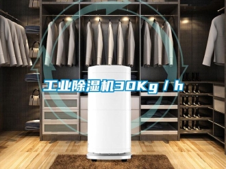 企业新闻工业除湿机30Kg／h