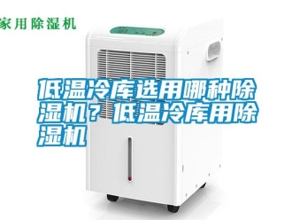 企业新闻低温冷库选用哪种除湿机？低温冷库用除湿机