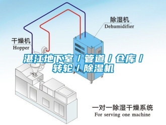 常见问题湛江地下室／管道／仓库／转轮／除湿机