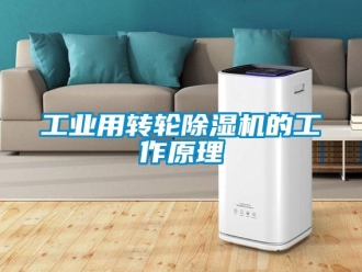 企业新闻工业用转轮除湿机的工作原理