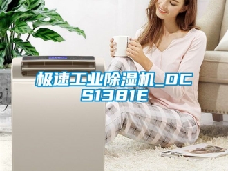 常见问题极速工业除湿机_DCS1381E