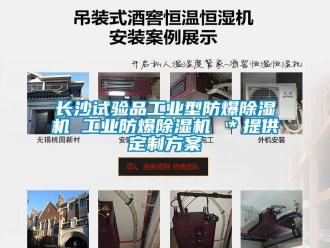 企业新闻长沙试验品工业型防爆除湿机 工业防爆除湿机 ＊提供定制方案