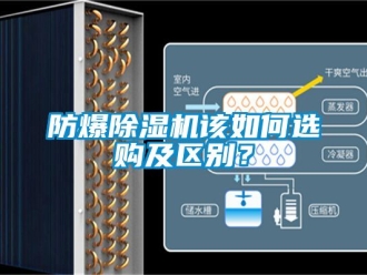 企业新闻防爆除湿机该如何选购及区别？