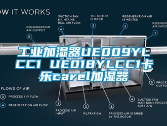 企业新闻工业加湿器UE009YLCC1 UE018YLCC1卡乐carel加湿器