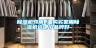 除湿机有用吗 购买家用除湿机选哪个品牌好