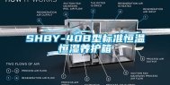 SHBY-40B型标准恒温恒湿养护箱