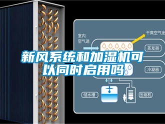 常见问题新风系统和加湿机可以同时启用吗
