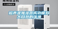 超声波加湿器成功模拟大自然的环境