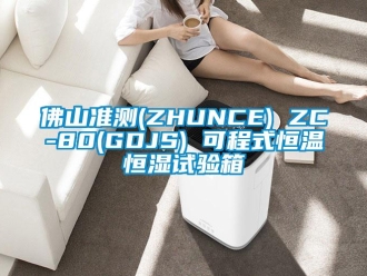 知识百科佛山准测(ZHUNCE) ZC-80(GDJS) 可程式恒温恒湿试验箱