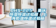 DHS-225  重庆恒湿恒温试验箱／上海低温恒温试验箱