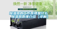 除湿器的工作原理是什么 除湿器原理介绍【详解】