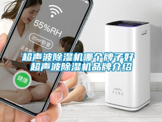 企业新闻超声波除湿机哪个牌子好 超声波除湿机品牌介绍