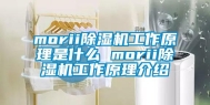 morii除湿机工作原理是什么 morii除湿机工作原理介绍