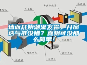 行业新闻墙面开始潮湿发霉，开窗透气准没错？真相可没那么简单！