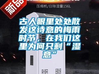 企业新闻古人眼里处处散发这诗意的梅雨时节，在我们这里为何只剩“湿意”