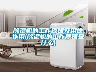 企业新闻除湿机的工作原理及用途作用(除湿机的工作原理是什么)