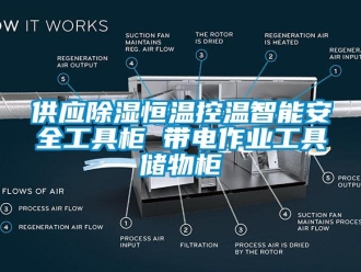 知识百科供应除湿恒温控温智能安全工具柜 带电作业工具储物柜