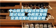 中山批发可程式恒温恒湿试验箱 小榄批发恒定温湿度试验箱定做