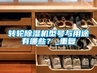 常见问题转轮除湿机型号与用途有哪些？_重复