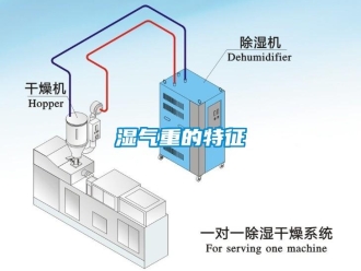 知识百科湿气重的特征