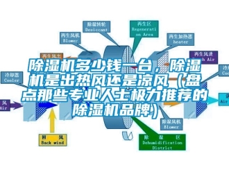 企业新闻除湿机多少钱一台，除湿机是出热风还是凉风（盘点那些专业人士极力推荐的除湿机品牌）