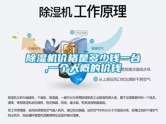 企业新闻除湿机价格是多少钱一台,一个大概的价钱