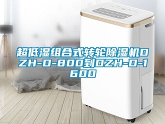 常见问题超低湿组合式转轮除湿机DZH-D-800到DZH-D-1600