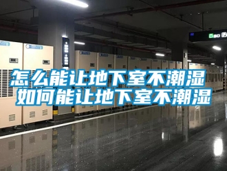 企业新闻怎么能让地下室不潮湿 如何能让地下室不潮湿