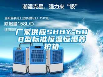 知识百科厂家供应SHBY-60B型标准恒温恒湿养护箱