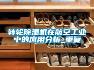 常见问题转轮除湿机在航空工业中的应用分析_重复