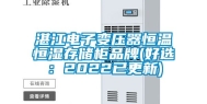 湛江电子变压器恒温恒湿存储柜品牌(好选：2022已更新)