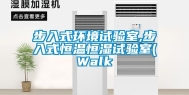 步入式环境试验室,步入式恒温恒湿试验室(Walk