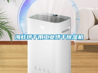 行业新闻海虾烘干用工业烘干除湿机