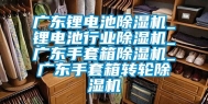 广东锂电池除湿机_锂电池行业除湿机_广东手套箱除湿机_广东手套箱转轮除湿机