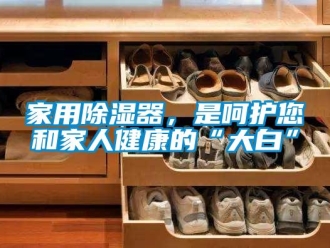 行业新闻家用除湿器，是呵护您和家人健康的“大白”