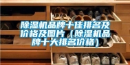 除湿机品牌十佳排名及价格及图片（除湿机品牌十大排名价格）