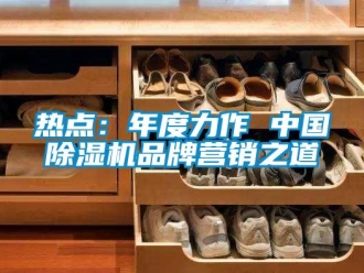 行业新闻热点：年度力作 中国除湿机品牌营销之道