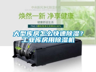 常见问题大型库房怎么快速除湿？工业库房用除湿机