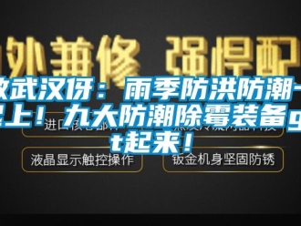 常见问题致武汉伢：雨季防洪防潮一起上！九大防潮除霉装备get起来！